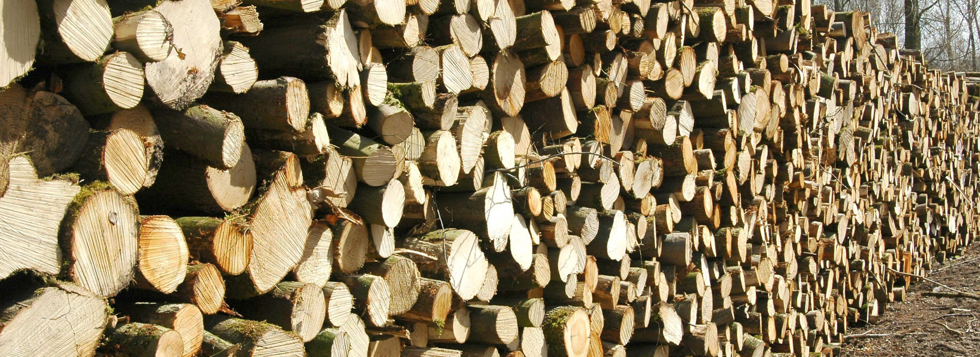 Weeks Forestry, Log stacks