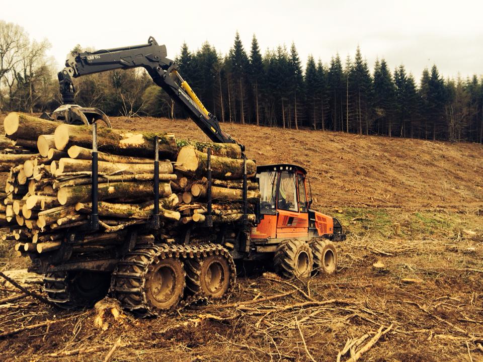 Weeks Forestry working in North Devon